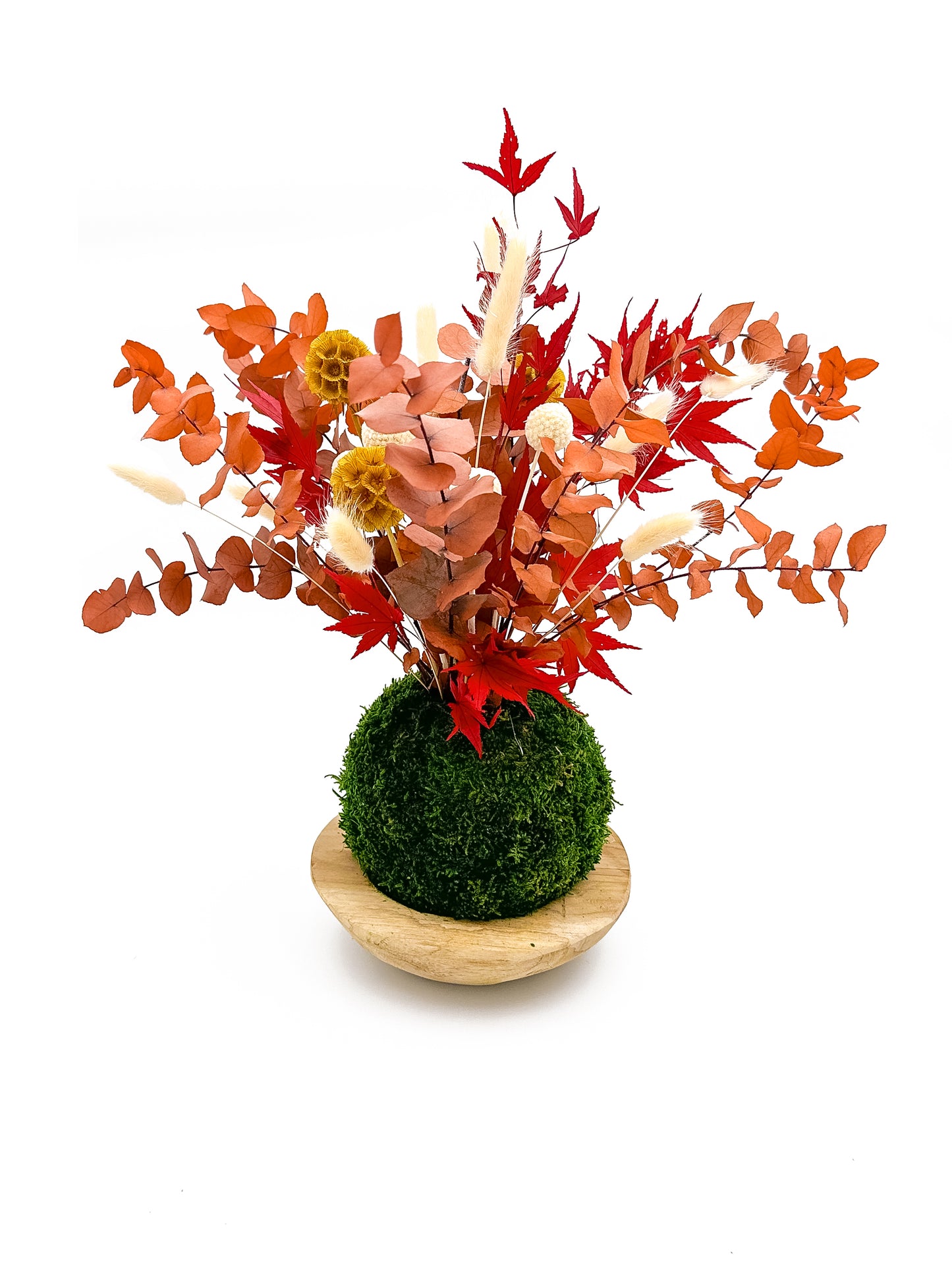 kokedama stabilisé composé de feuillage d'eucalyptus orangé, d'erable du japon rouge, de fleurs scabieuses jaunes et de lagarus sec