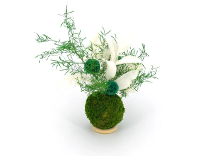kokedama stabilisé composé de feuillage d'asparagus sprengeri, de fleurs scabieuses bleues, de ruscus et de ming fern blanc sur un support anneau en bois