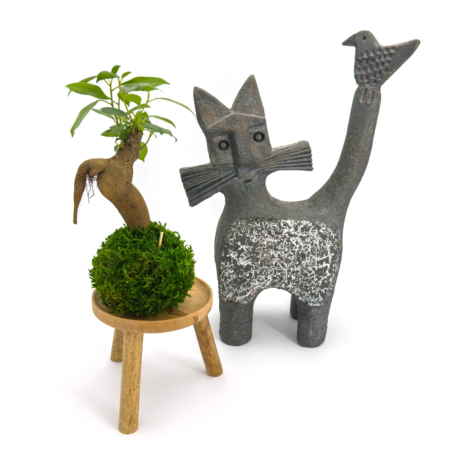 Composition avec un petit kokedama ficus ginseng microcarpa sur son support en bois avec une sculpture de chat en décoration
